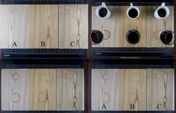 Figure 16 Impressions after contact of coffee and red wine with various surface treatments of wood. (A-without treat-ment, B-linseed oil and C-GTP).