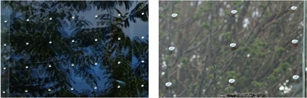 Figure 1. Visual perception of vegetation in glass in respectively reflection (left) and transmission (right).