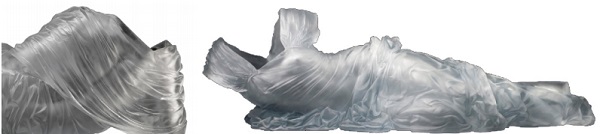 Figure 20. Glass sculptures, by the artist Karen La Monte, demonstrate the level of detailing that glass casting can achieve (La Monte 2007). 