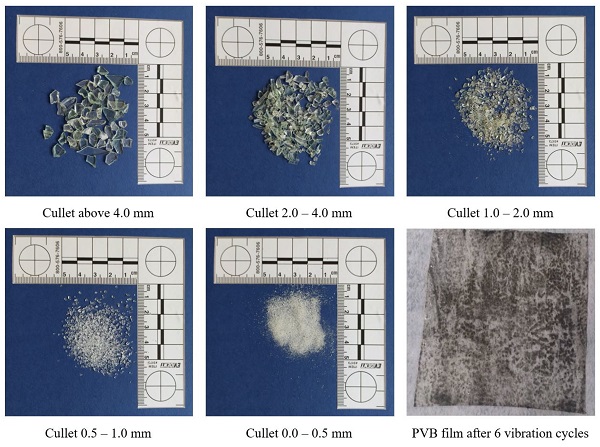Figure 5. Samples of glass cullet after sieve analysis, and the final polyvinyl butyral (PVB) interlayer film.