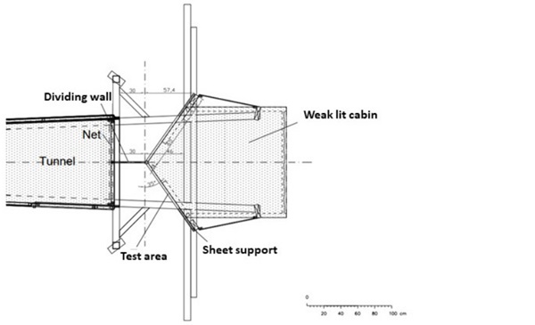 Figure 5. Horizontal section through the flight tunnel in the WIN test configuration with enclosed chamber (simulation of indoor rooms) behind the test panes positioned diagonally to the birds’ flight axis.