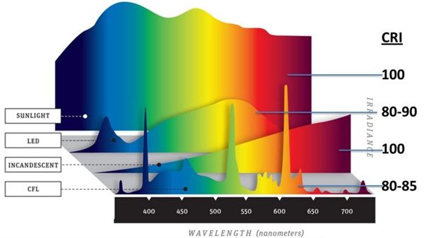 FIGURE 6: Spectral power distributions in the visible light range for various light sources and their respective color rendering indices.