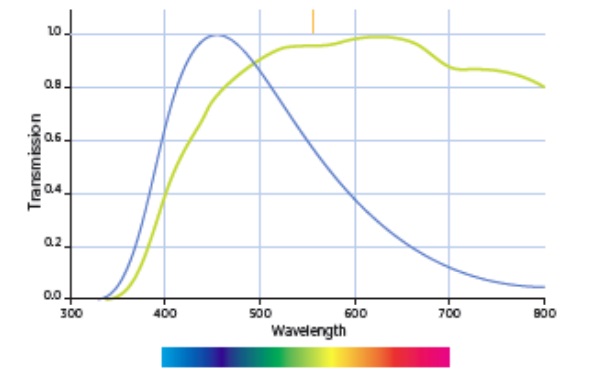 FIGURE 7: The transmission spectra of light coming through EC glass in the fully clear (green line) and the fully tinted (blue line) states.