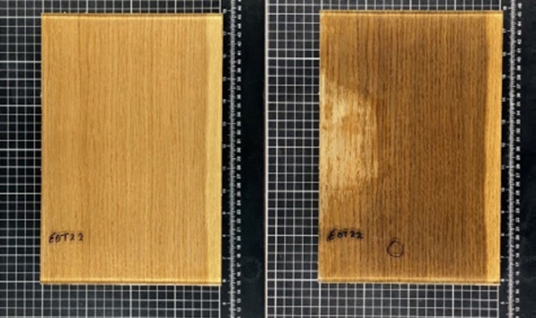 Figure 8 Example of an Oak specimen before and after temperature-humidity test.