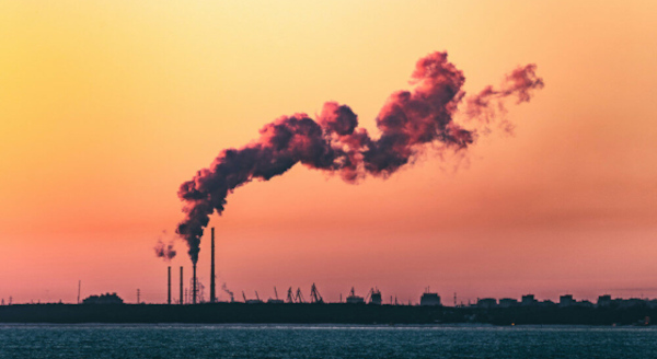 42% of companies compensate for CO2 emissions