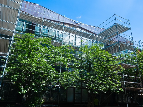 Walker Glass and The National Aviary Continue their Tradition of Bird-friendly Building