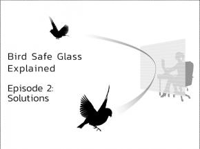 Bird Safe Glass Explained – Episode II “Solutions”