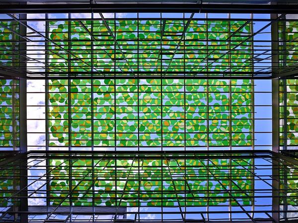 Using Decorative Glass to Create an Urban Forest