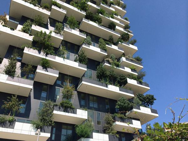 Living in a vertical forest in the middle of the city: window sashes up to 3000 mm high for a pleasant view of the greenery