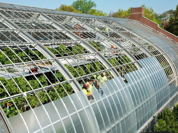 Bird-friendly glass reviving popular Tropical Rainforest exhibit at National Aviary