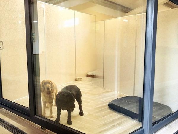 PatioMaster doors give the VIP touch to a VIP dog hotel