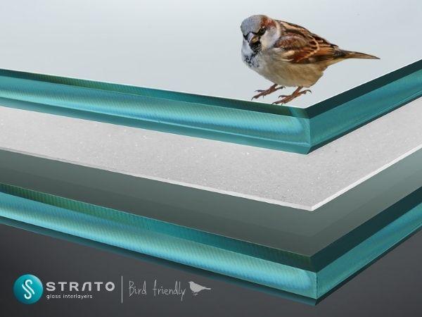 STRATO® Bird Friendly | The first anti-collision EVA film to protect birds