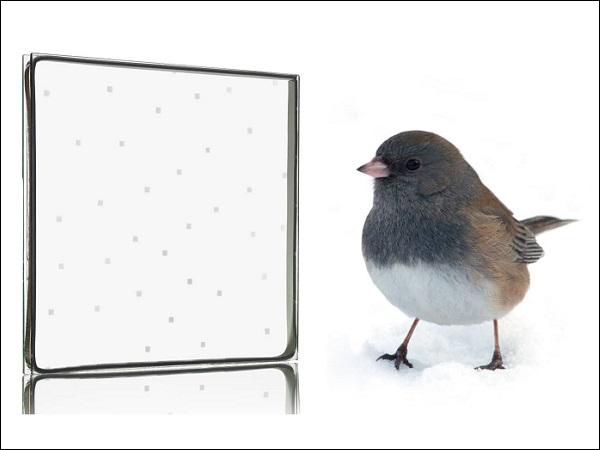 Walker Introduces Two New AviProtek® Bird Friendly Glass Solutions