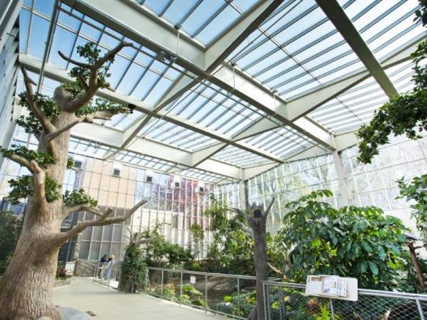 The National Aviary’s largest habitat, the Wetlands, reopened its doors on October 31, 2022. The renovated habitat provides its birds and guests with the perfect ambiance and aesthetics. (Photo: Jim Cunningham)