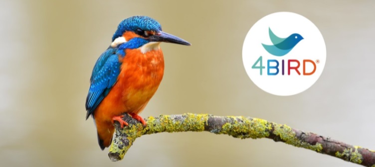 4BIRD® effective bird protection in glass architecture
