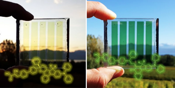 Legend: Photochromic solar cells change from pale yellow to orange, red or even dark green in bright light, increasing their photovoltaic efficiency at the same time. Credit: IRIG/CEA