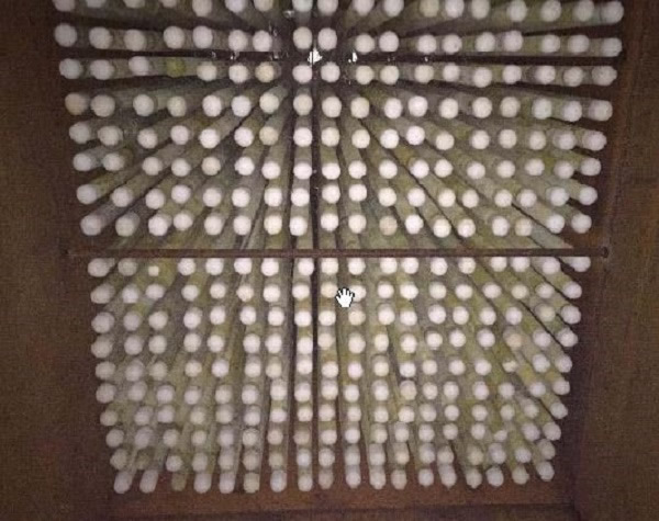 Figure 3: Installed FLK Ceramic Catalytic Filter elements