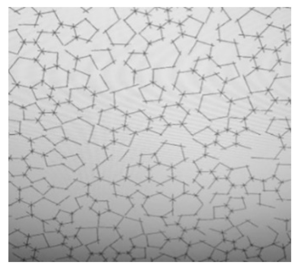 Figure 10. The microstructural characteristics of the microcracks in the float glass under high-temperature loading.