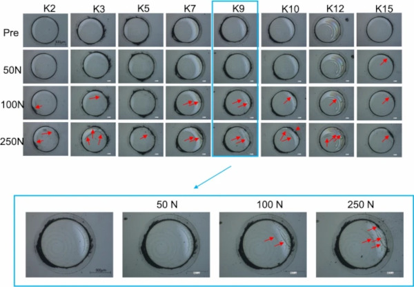 Fig. 10