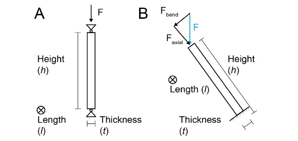 Fig. 10: Diagrams for buckling strength and stiffness of individual out of plane kirigami plates. Length is denoted as into the page. (A) Euler’s column buckling with pin-pin connection and compressive force F. (B) Cantilevered beam tilted at some angled but with a downward force F applied.