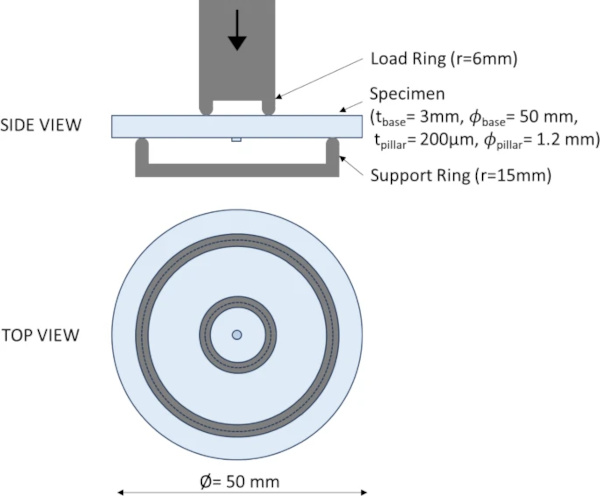 Fig. 11