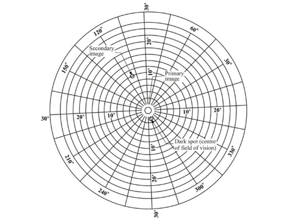 Fig. 11 - R43 Example of observation by the collimation-telescope test method