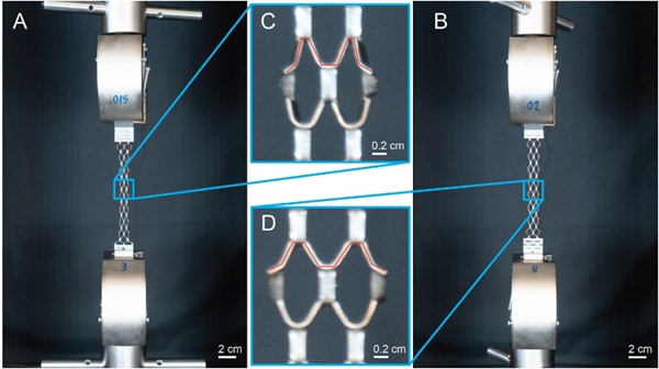 Fig. 11: (A) t = 0.381 mm extension test at the end of a test (sample 3). (B) t = 0.508 mm extension test at the end of a test (sample 8). (C) Internal angle of t = 0.381 mm activated plates is more acute than that in D. (D) The t = 0.508 mm samples, which may have a lower average stiffness than the t = 0.381 mm samples due to the angle of the plates.