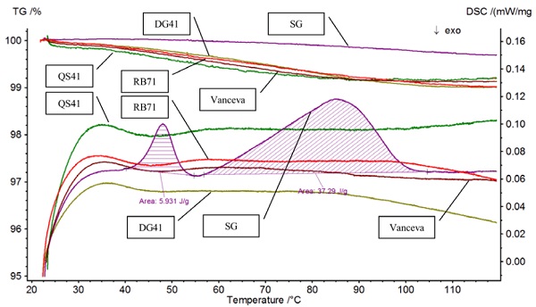 Fig. 11 TGA and DSC results of glass interlayers in the region before substantial mass loss.