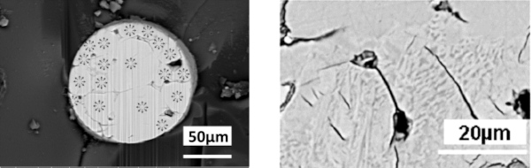Fig. 12