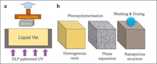 Fig. 12