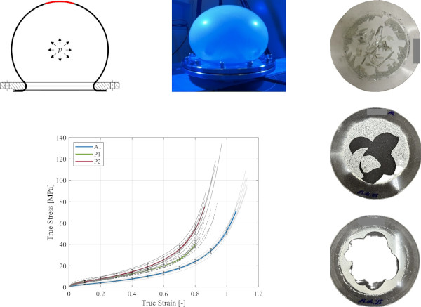 Fig. 12