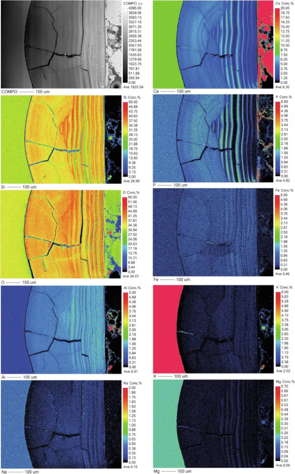 Fig. 13