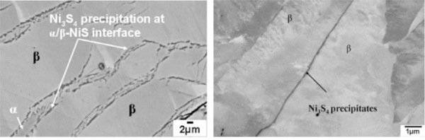 Fig. 13