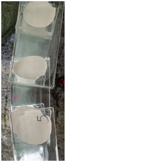 Fig. 13: The adhesive layer was deposited in the form of blobs, resulting in an interface of ≈2 mm thickness.