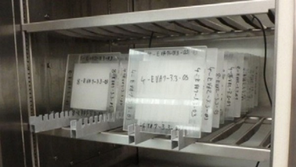 Figure 13 Samples in the climate chambe