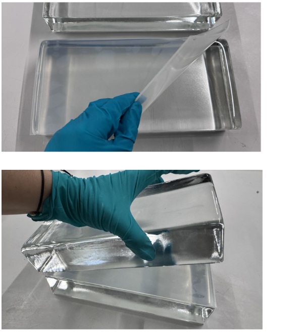 Fig. 14: Application of TSSS film in cast glass assemblies.