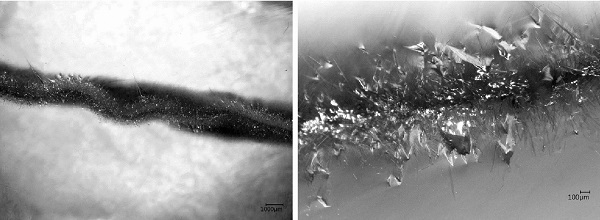 Fig. 16 Microscope images of the crystallized interface of the “Float 10mm fused 970 ◦C” samples (fractured surface). The parallel needle-like form of the crystals refers to devitrite