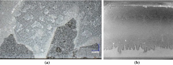 Fig. 17 Crystallized interface of the “Schott DURAN borosilicate rods, fused at 970 ◦C” samples. a Microscope image showing a split interface due to fracture. b Water permeability of the crystallized interface (image height ≈ 30 mm)