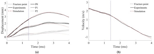 Fig. 19. Comparison of an FE simulation and experiments on laminated glass ( and  m/s) in terms of (a) displacement of the optical targets, and (b) velocity of the impactor.