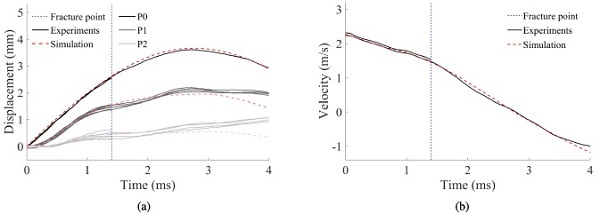 Fig. 19. Comparison of an FE simulation and experiments on laminated glass ( and m/s) in terms of (a) displacement of the optical targets, and (b) velocity of the impactor.