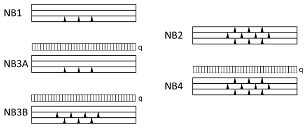 Fig. 1 schematic representation of the NB classes 1 to 4.