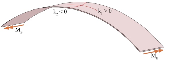 Figure 1: Initial uniaxial bending results in anticlastic shape with biaxial bending