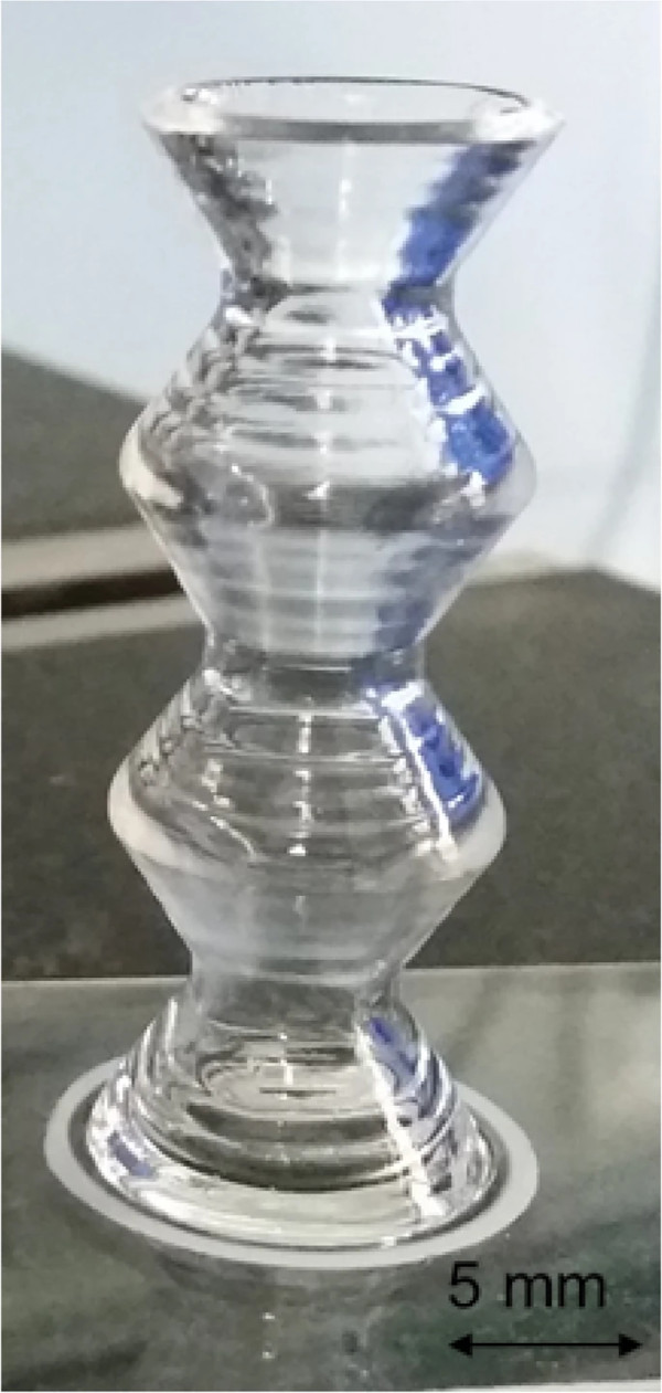 Fig. 1