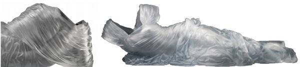 Figure 20. Glass sculptures, by the artist Karen La Monte, demonstrate the level of detailing that glass casting can achieve (La Monte 2007).