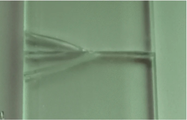Fig. 20