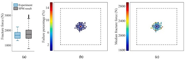 Fig. 21. SPM results for the reference tests: (a) fracture force compared to the experiments, and point of fracture initiation indicating (b) failure percentage and (c) median fracture force.