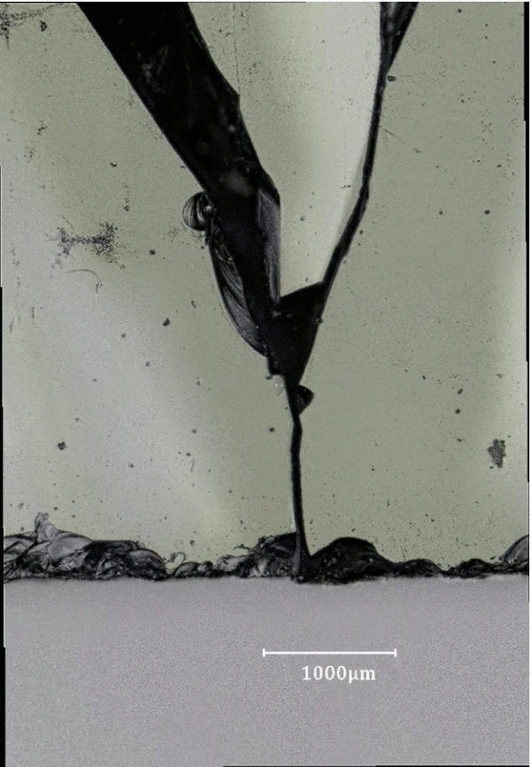 Fig. 22