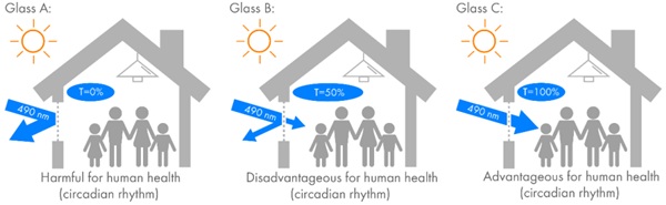 Fig. 23: Illustration showing three glass options (A, B and C) referring to the transmittance at 490 nm wavelength. The impact on the human wellbeing is stated below the pictograms. Illustration by B. Beer.