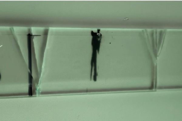 Fig. 24