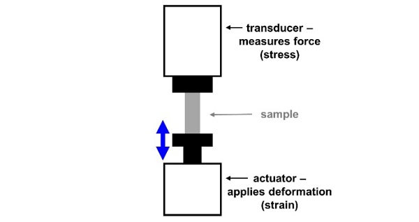 Fig. 2: Principle of a DMA setup in tensile mode